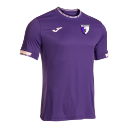 TEE-SHIRT TOLETUM VI