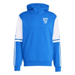 SWEAT A CAPUCHE ADULTE