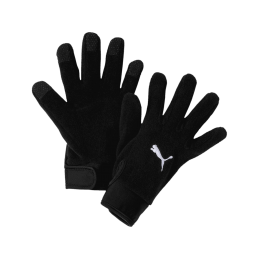 GANTS