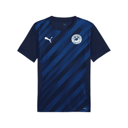 MAILLOT D'ENTRAÎNEMENT ADULTE