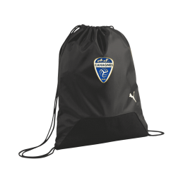 SAC A CHAUSSURES