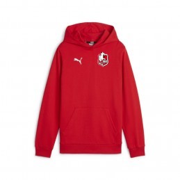 teamGOAL Casuals Hoody Jr