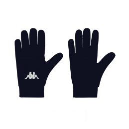 Gants (Joueurs de champs)