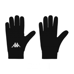 GANTS