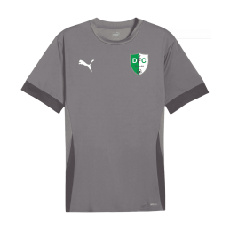 teamGOAL Matchday Jersey jr