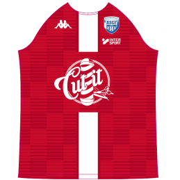 MAILLOT MATCH DOMICILE...