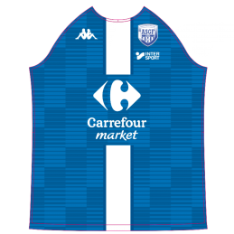 MAILLOT MATCH DOMICILE HOMME