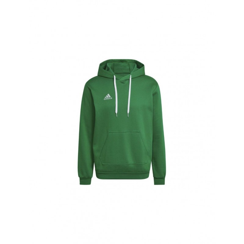 Sweat à Capuche Amplified - Coupe Décontractée, Intérieur Brossé Doux, Logo Imprimé, Manches Ajustées - Adulte